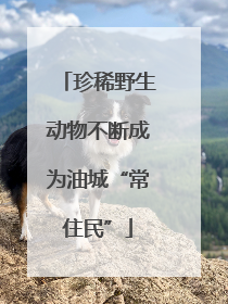 珍稀野生动物不断成为油城“常住民”