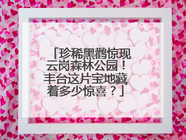珍稀黑鹳惊现云岗森林公园！丰台这片宝地藏着多少惊喜？