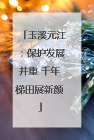 玉溪元江：保护发展并重 千年梯田展新颜