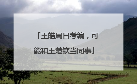 王皓周日考编，可能和王楚钦当同事
