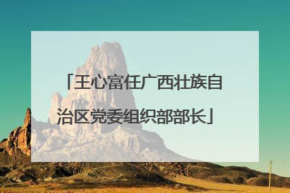 王心富任广西壮族自治区党委组织部部长