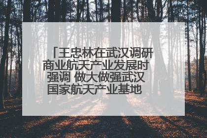 王忠林在武汉调研商业航天产业发展时强调 做大做强武汉国家航天产业基地 打造具有全国影响力的“中国星谷”