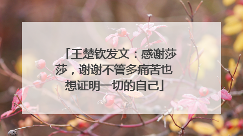 王楚钦发文：感谢莎莎，谢谢不管多痛苦也想证明一切的自己