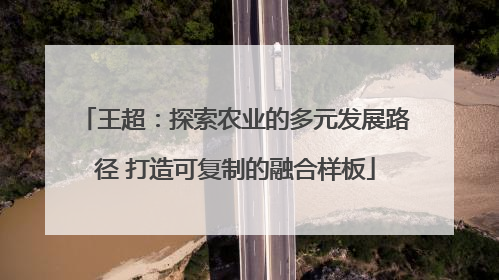 王超：探索农业的多元发展路径 打造可复制的融合样板