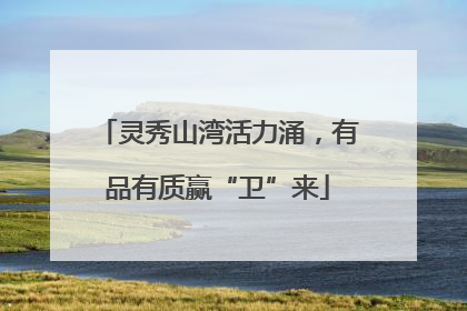 灵秀山湾活力涌，有品有质赢“卫”来