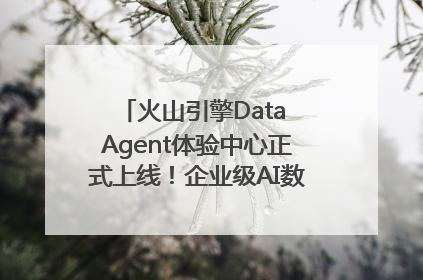 火山引擎Data Agent体验中心正式上线！企业级AI数据专家触手可及