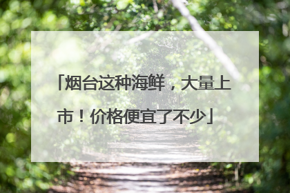 烟台这种海鲜，大量上市！价格便宜了不少
