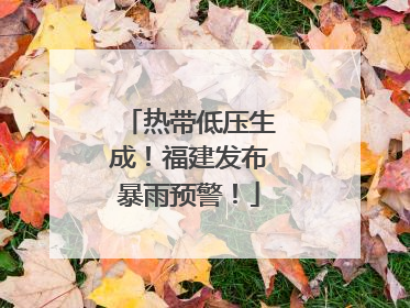 热带低压生成！福建发布暴雨预警！
