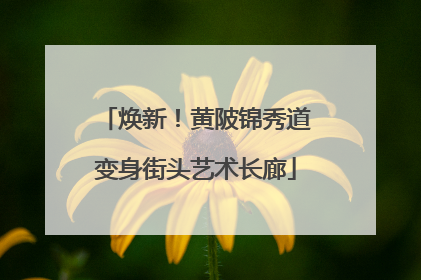 焕新！黄陂锦秀道变身街头艺术长廊