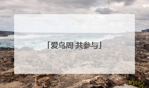 爱鸟周 共参与