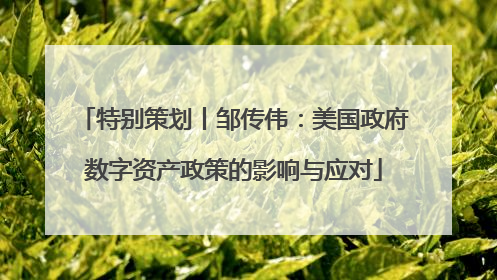特别策划丨邹传伟：美国政府数字资产政策的影响与应对