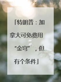 特朗普：加拿大可免费用“金穹”，但有个条件