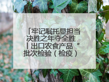 牢记嘱托显担当 决胜之年夺全胜丨出口农食产品“批次检验（检疫）”改革在连试点