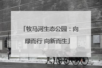 牧马河生态公园：向绿而行 向新而生