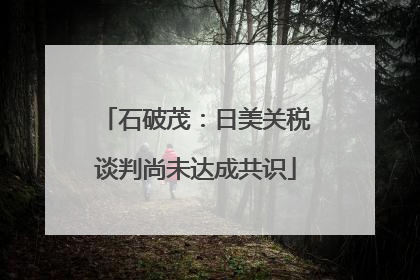 石破茂：日美关税谈判尚未达成共识
