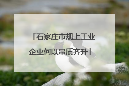 石家庄市规上工业企业何以量质齐升