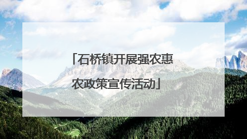 石桥镇开展强农惠农政策宣传活动