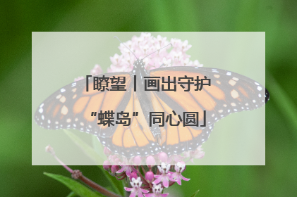 瞭望丨画出守护“蝶岛”同心圆