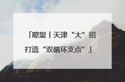 瞭望丨天津“大”招打造“双循环支点”