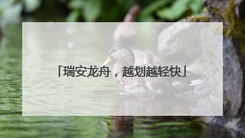 瑞安龙舟，越划越轻快