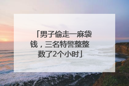 男子偷走一麻袋钱，三名特警整整数了2个小时