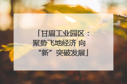 甘眉工业园区：聚势飞地经济 向“新”突破发展