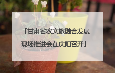 甘肃省农文旅融合发展现场推进会在庆阳召开
