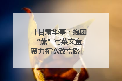 甘肃华亭：抱团“蔬”写菜文章 聚力拓宽致富路