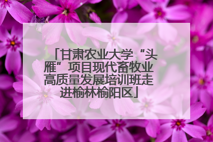 甘肃农业大学“头雁”项目现代畜牧业高质量发展培训班走进榆林榆阳区