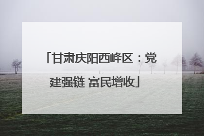 甘肃庆阳西峰区：党建强链 富民增收