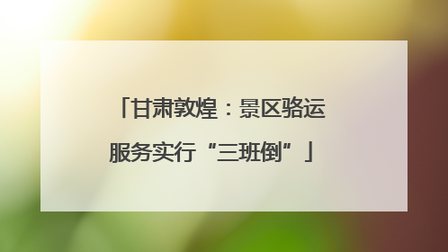 甘肃敦煌：景区骆运服务实行“三班倒”