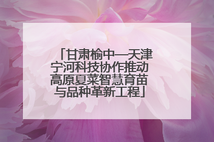 甘肃榆中—天津宁河科技协作推动高原夏菜智慧育苗与品种革新工程