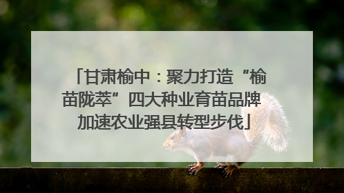 甘肃榆中：聚力打造“榆苗陇萃”四大种业育苗品牌 加速农业强县转型步伐