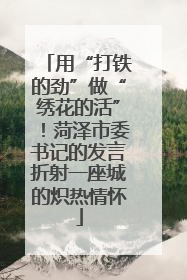 用“打铁的劲”做“绣花的活”！菏泽市委书记的发言折射一座城的炽热情怀