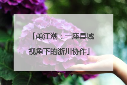 甬江潮：一座县域视角下的浙川协作