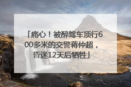 痛心！被醉驾车顶行600多米的交警蒋仲超，昏迷12天后牺牲