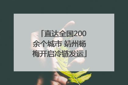 直达全国200余个城市 靖州杨梅开启冷链发运