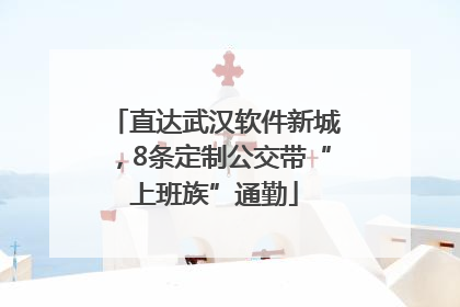 直达武汉软件新城，8条定制公交带“上班族”通勤