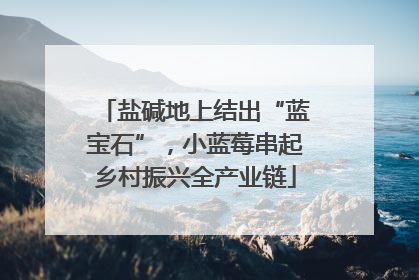 盐碱地上结出“蓝宝石”，小蓝莓串起乡村振兴全产业链