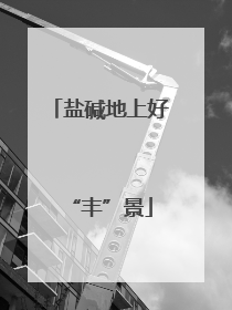 盐碱地上好“丰”景