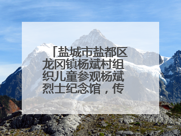 盐城市盐都区龙冈镇杨斌村组织儿童参观杨斌烈士纪念馆，传承红色基因