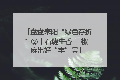 盘盘耒阳“绿色存折”②｜石缝生香 一椒麻出好“丰”景