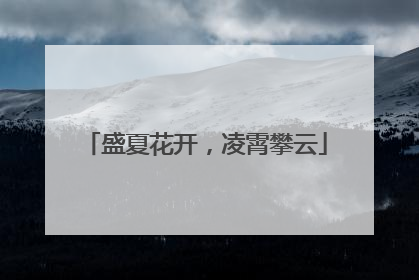 盛夏花开，凌霄攀云