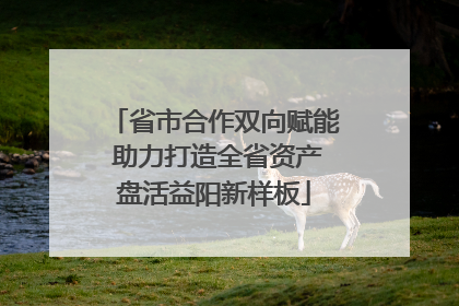 省市合作双向赋能 助力打造全省资产盘活益阳新样板