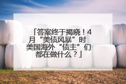 答案终于揭晓！4月“美债风暴”时 美国海外“债主”们都在做什么？