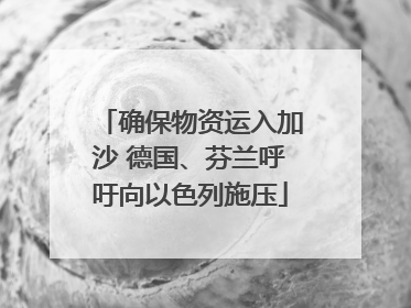 确保物资运入加沙 德国、芬兰呼吁向以色列施压