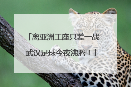 离亚洲王座只差一战 武汉足球今夜沸腾！
