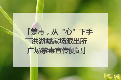 禁毒，从“心”下手――洪湖戴家场派出所广场禁毒宣传侧记