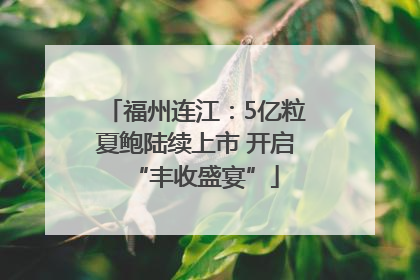 福州连江：5亿粒夏鲍陆续上市 开启“丰收盛宴”