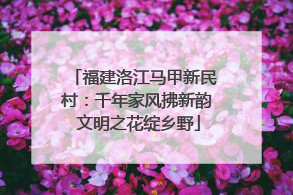 福建洛江马甲新民村：千年家风拂新韵 文明之花绽乡野
